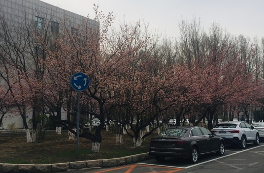 厂家临门一脚